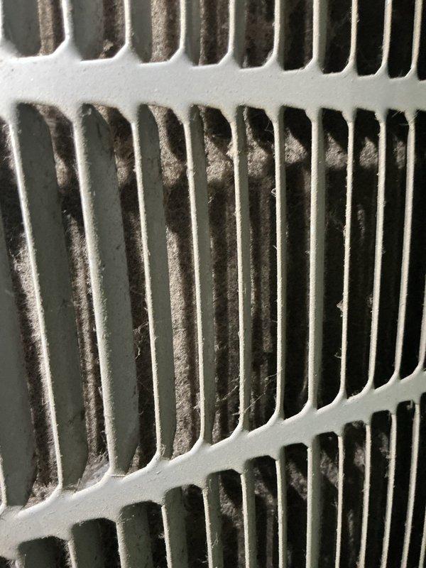 Completed preventative maintenance on 5-year-old Bryant cooling system. Inspected evaporator coil and noted dust accumulation on aluminum fins; verified furnace and connected equipment operational. System components including Aprilaire humidifier and ductwork inspected and documented with photos for maintenance records.