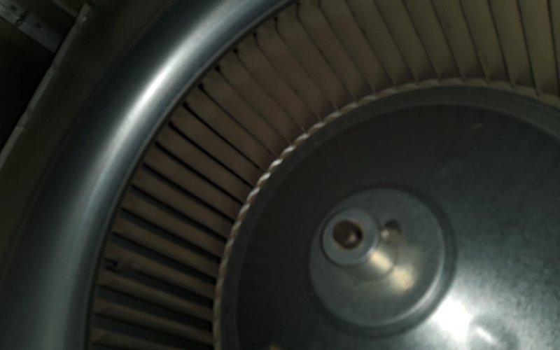 Completed comprehensive heating maintenance on a 10-year-old gas furnace system. Performed combustion analysis with readings showing proper operation at 100.6°F, verified oxygen, carbon monoxide, and carbon dioxide levels within manufacturer specifications. Inspected blower wheel assembly and housing, confirming clean operation with no excessive buildup or mechanical issues.