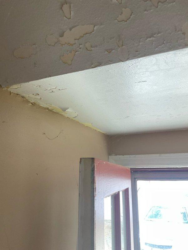 Responded to water leak at two-family rental property where leaking pipe had caused significant water damage to interior walls and ceiling. Accessed affected plumbing through opened wall section, exposing damaged pipe connections with visible oxidation on copper/brass fittings. Repaired leaking water line and flexible supply connections in wall cavity between insulation and studs. Documentation captured extent of water damage including ceiling paint deterioration, peeling, and moisture intrusion affecting multiple room surfaces, as well as compromised wall integrity requiring future cosmetic restoration by property owner.
