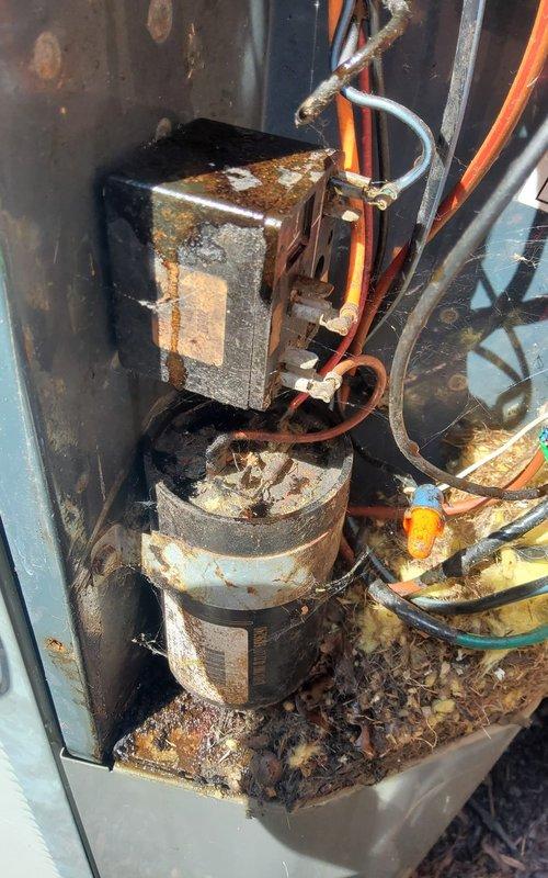 Completed AC tune-up on five-year-old residential condensing unit. System operating properly at time of service. Performed standard maintenance procedures including inspection of electrical components, capacitor, and condenser coil. Unit exterior shows normal wear for age, with internal electrical components displaying moderate corrosion and debris accumulation requiring monitoring for future service needs.