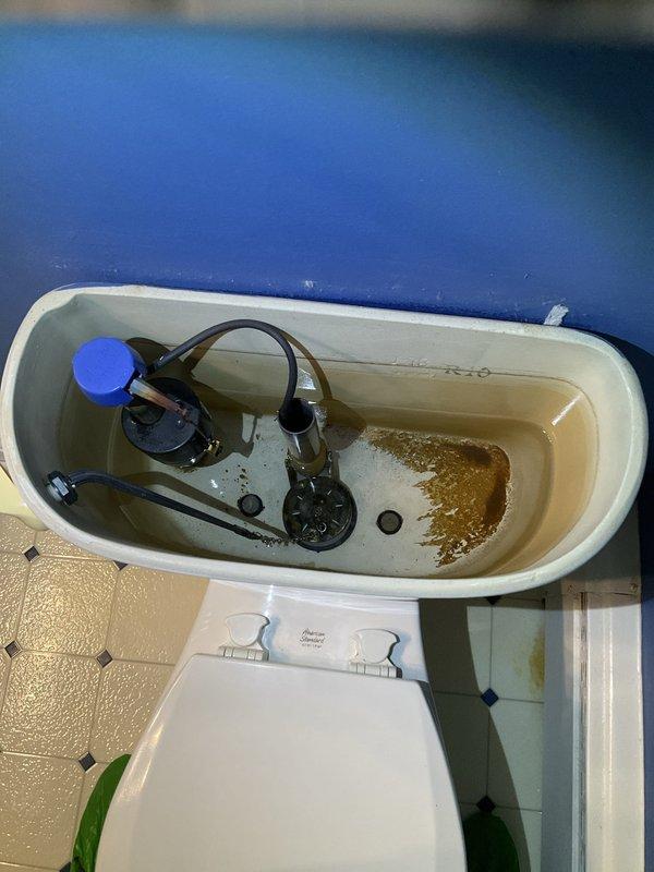 Completed complimentary plumbing inspection of residential toilet system. Removed tank lid to assess internal flush mechanisms and water quality. Documented discolored water in tank showing brownish rust-colored tint, indicating mineral buildup or sediment accumulation in water supply or internal components. Inspected fill valve assembly with float mechanism, flush valve, flapper assembly, and chain connections. All mechanical components appeared functional with proper connections intact. Water discoloration noted as primary concern requiring potential flush valve replacement or system flushing to address sediment issues.