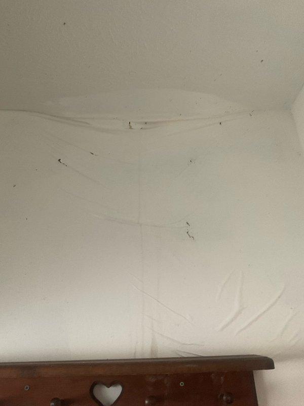 Responded to main drain backup in basement. Cleared obstruction in main sewer line using drain auger, restoring proper flow and eliminating backup condition.