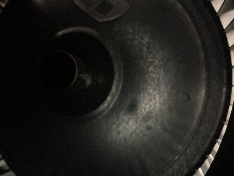 Completed preventive maintenance on 7-year-old furnace system. Inspected blower assembly, ductwork mounting brackets, and internal components; all found secure and operating within normal parameters. Unit cleaned and confirmed ready for continued service.