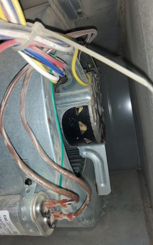 Completed comprehensive AC tune-up on 9-year-old HVAC system. Performed full inspection of blower assembly, motor, and internal components. Verified proper operation of blower wheel and squirrel cage fan, checked all electrical connections and wiring harnesses, and inspected refrigerant lines for integrity. Documented equipment condition with interior access photos showing normal wear patterns consistent with system age. All components functioning within normal parameters upon completion of maintenance service.