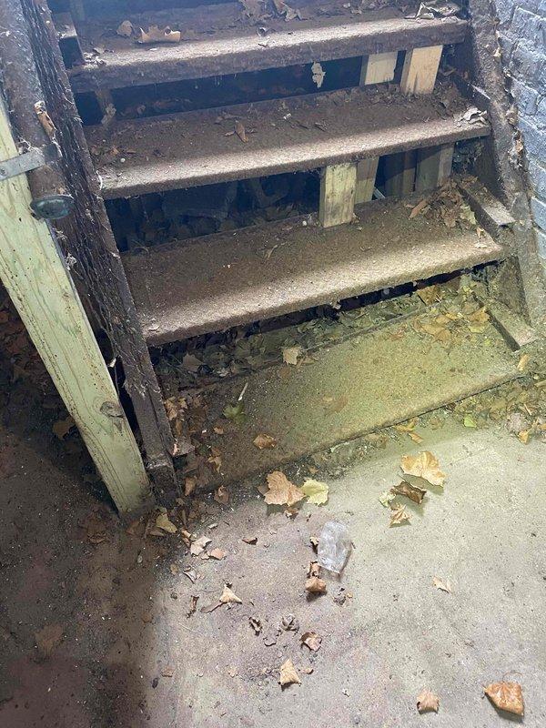 Performed scheduled tune-up on commercial boiler located in basement. Accessed unit via exterior staircase and completed comprehensive maintenance inspection of boiler system. Unit operational upon completion of service.