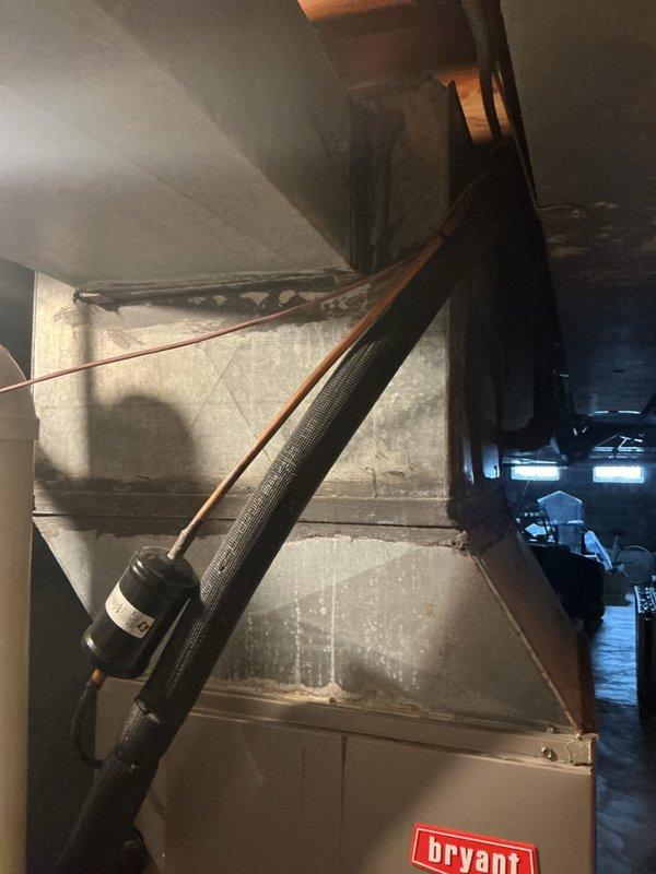 Completed HVAC system replacement in residential property, installing new Bryant furnace unit to address inadequate heating performance in upper level zones. Previous system was undersized for the home's heating demands, resulting in insufficient temperature control on the second floor. Installed appropriately sized replacement unit with new refrigerant lines, proper insulation wrapping on copper tubing, and integrated ductwork connections to existing infrastructure in basement mechanical room. System properly mounted and connected to structural supports with all refrigerant lines secured and insulated to prevent heat loss and condensation issues.