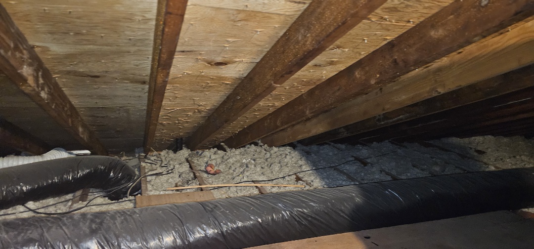 Consultation for heat pump replacement due to loss of charge.  Need to perform load calculations to ensure existing equipment sizing is correct for home.  Reviewed building structure and all ductwork in home.