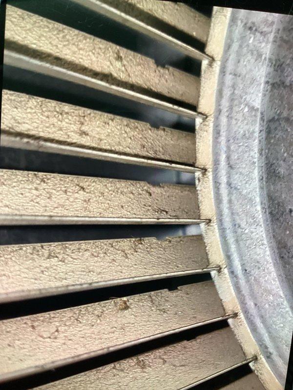 Responded to no-heat service call for a furnace with intermittent operation. Diagnosed dirty flame rod and high gas pressure as root causes. Performed cleaning of flame rod, verified proper intake/exhaust conditions, and adjusted gas pressure to manufacturer specifications. Confirmed proper combustion parameters with analyzer (CO2 at 7.9%, excess air at 50.8%) and inspected blower assembly for proper operation.