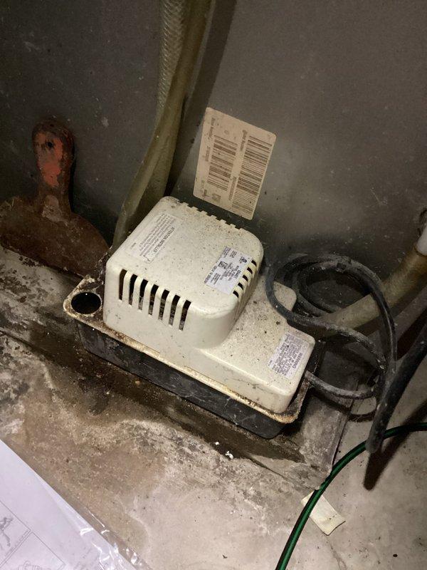 Responded to emergency no-heat call for a Bryant furnace that had previously been serviced by another company without resolution. Upon inspection, found severely corroded burners, failed condensate pump, and frayed blower motor capacitor terminals. Completed service by cleaning burners, bypassing condensate pump, and repairing damaged wiring connections to restore proper heating operation.