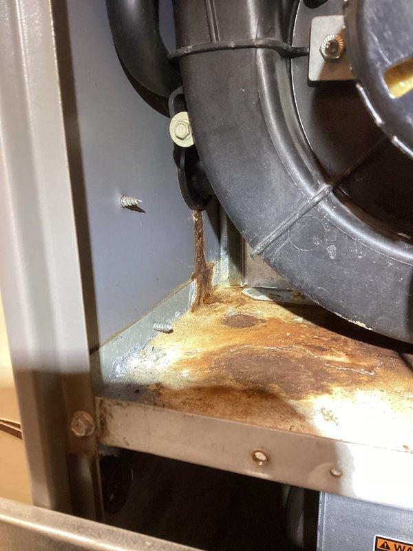 Performed scheduled maintenance on basement and garage furnaces as part of prepaid maintenance agreement. Identified significant rust damage on basement furnace and diagnosed error code A350. Found faulty humidifier with water leaking from solenoid valve. Customer advised to call immediately regarding humidifier repair options.