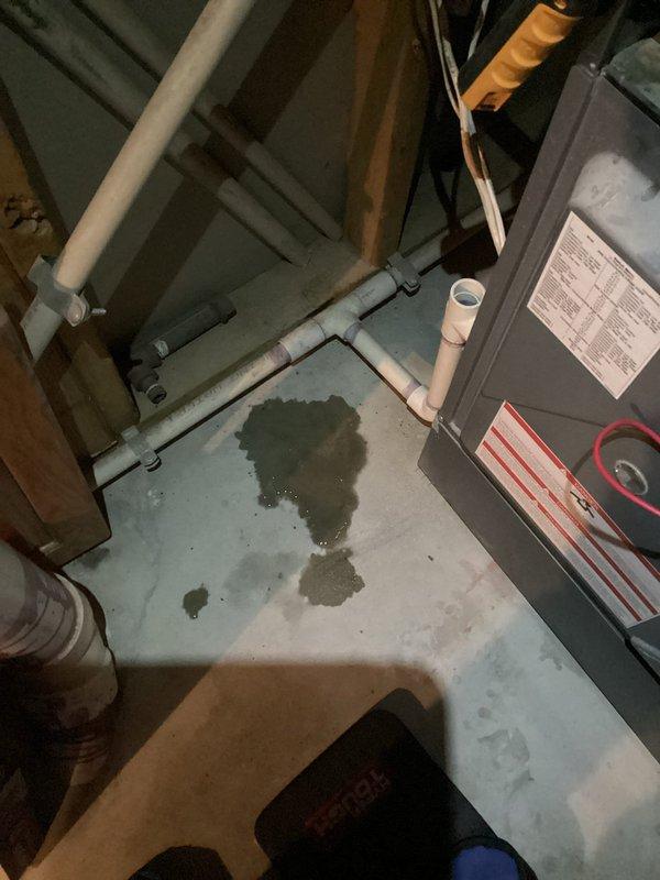 Performed scheduled preventative maintenance on furnace. Completed comprehensive tune-up procedure according to standard protocols. Visual inspection revealed signs of moisture near unit that may require monitoring; otherwise equipment appears to be functioning within normal operational parameters.