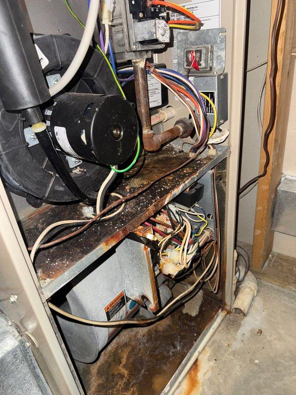 Responded to no-heat call for 10+ year old furnace system. Diagnosed non-operational fan in auto mode due to failing control board. Observed significant rust and corrosion on internal components. Advised customer that system replacement is recommended; customer will discuss options with spouse and schedule estimate for replacement unit.