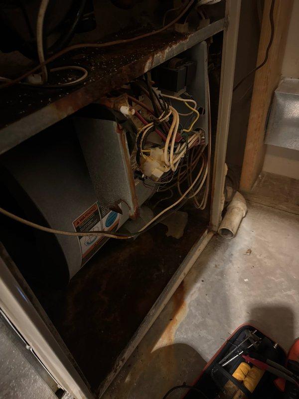 Responded to no-heat call for 10+ year old furnace system. Diagnosed non-operational fan in auto mode due to failing control board. Observed significant rust and corrosion on internal components. Advised customer that system replacement is recommended; customer will discuss options with spouse and schedule estimate for replacement unit.