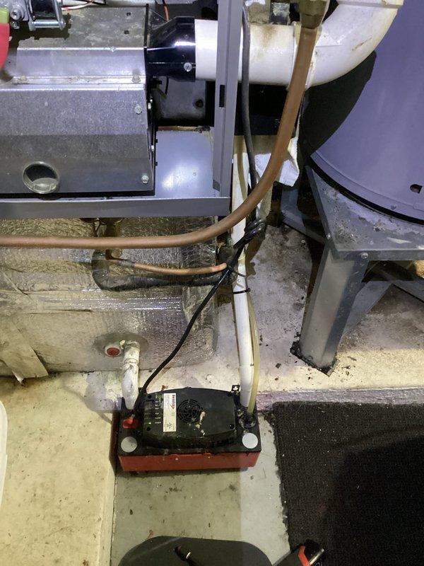 Responded to service call for furnace water leakage. Diagnosed clogged condensate trap causing backup into furnace. Performed thorough cleaning of collector box ports, drain line, and condensate trap by vacuum. Used leaf blower to clear exhaust vent of potential debris causing water accumulation. Issue resolved.