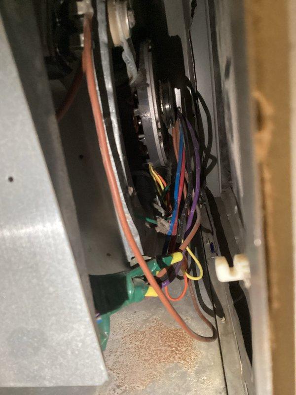 Upon arrival at 12:4, diagnosed furnace with no heat issue. Inspection revealed complete blower motor failure preventing warm air distribution throughout the home. After thorough evaluation of the aged system (10+ years), recommended either complete system replacement or blower motor replacement as repair options for customer consideration.