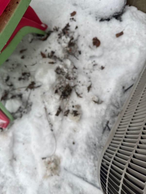 Performed preventative maintenance agreement service on heat pump system and additional furnace. Diagnostic testing revealed significant frost accumulation on evaporator coil, indicating potential refrigerant or airflow issues. Completed comprehensive system inspection and tune-up of both units to ensure proper operation.