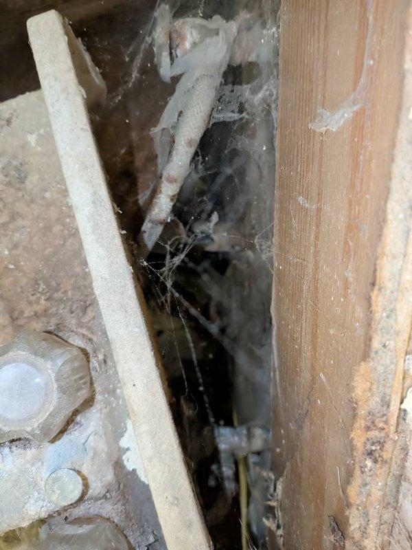 Performed diagnostic inspection of bathroom sink requiring repairs. Accessed and examined plumbing infrastructure behind wall, noting significant dust accumulation and aging components. Provided assessment for replacing existing fixtures with new 24" vanity, faucet, and complete drainage assembly.