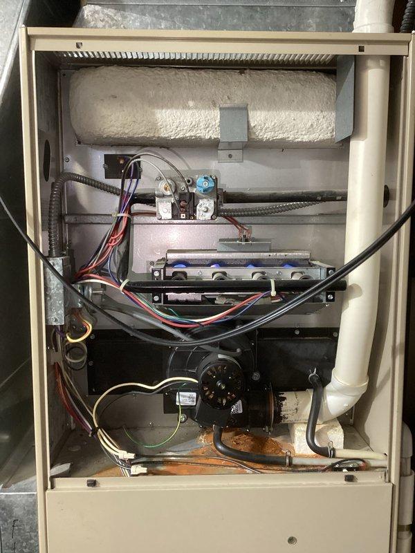 Responded to no-heat call for aging HVAC system. Diagnostic testing revealed a dirty flame sensor inhibiting proper ignition sequence. Thoroughly cleaned flame sensor, which restored normal furnace operation and proper heat production.