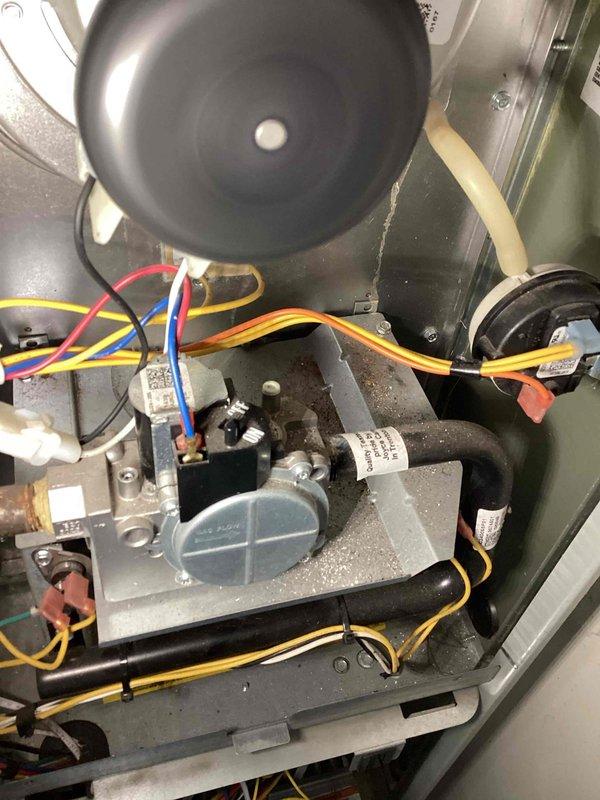 Responded to no heat callback after routine maintenance. Found gas valve switch in off position. Restored gas supply, verified proper ignition sequence, and confirmed normal system operation before departing.