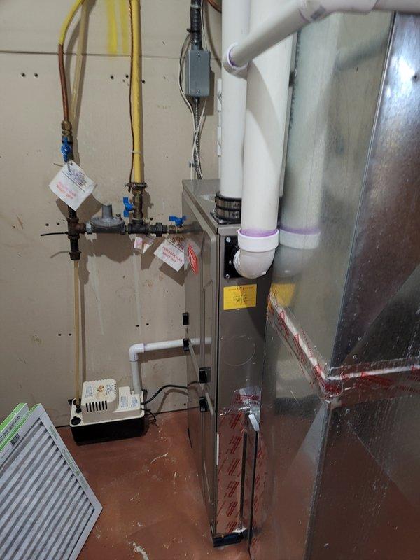 Responded to no heat call for 10+ year old Bryant furnace. Diagnosed pressure switch error caused by clogged condensate line. Cleared blockage in condensate system, restoring proper furnace operation and heat to the home.