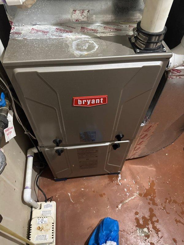 Responded to no heat call for 10+ year old Bryant furnace. Diagnosed pressure switch error caused by clogged condensate line. Cleared blockage in condensate system, restoring proper furnace operation and heat to the home.