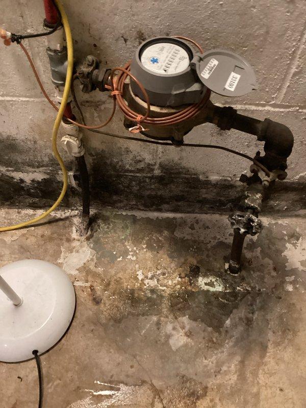 Investigated water leak in basement mechanical room where moisture was observed coming up through concrete slab near toilet flange. Inspected water meter and surrounding plumbing connections. Diagnosed as underground slab leak requiring specialized repair. Customer advised to contact another plumbing company for immediate repair or schedule with us in approximately 3 weeks.