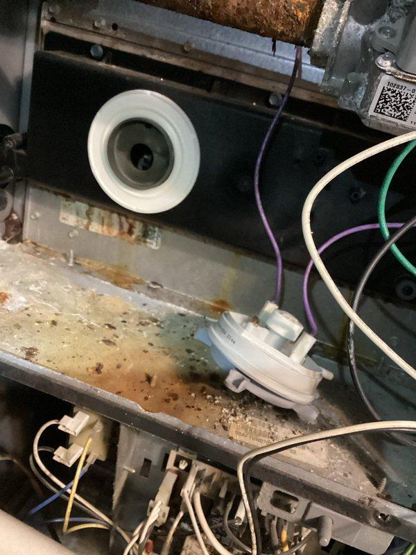 Responded to no heat call and diagnosed water accumulation in pressure switch causing ignition failure. Removed water from the pressure switch, test ran the furnace, and conducted CO safety check. System showed significant corrosion and rust on interior components indicating age-related wear, but restored proper operation.