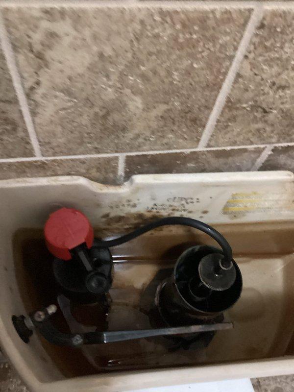 Responded to customer complaint of low water pressure in downstairs toilet. Diagnostic inspection revealed a faulty fill valve with significant blockage causing flow restriction. Removed old assembly which showed mineral buildup and discoloration, then installed new fill valve to restore proper water pressure and function.