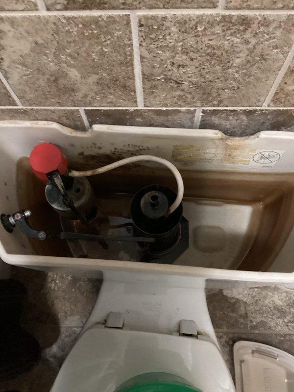 Responded to customer complaint of low water pressure in downstairs toilet. Diagnostic inspection revealed a faulty fill valve with significant blockage causing flow restriction. Removed old assembly which showed mineral buildup and discoloration, then installed new fill valve to restore proper water pressure and function.