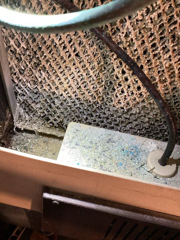 Performed rescheduled furnace preventative maintenance assessment with customer approval. Identified critically high carbon monoxide levels (270-300 ppm) during inspection. Found significant dirt accumulation on cooling coil and debris in drain pan. Connected customer with project manager to address urgent CO safety concerns.