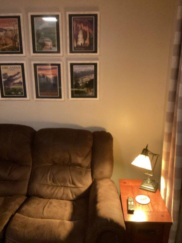 Conducted on-site assessment for wall power kit installation in downstairs family room. Evaluated electrical requirements and placement options adjacent to sectional sofa for optimal functionality. Provided customer with professional recommendation for powering existing lighting fixtures.