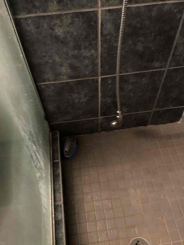 Responded to customer report of water leak in basement area affecting laundry room. Conducted comprehensive leak investigation including operation of all plumbing fixtures in both upstairs and downstairs bathrooms. No active leaks could be reproduced during testing. Inspected shower area with particular attention to drain and supply lines. Advised customer to monitor mechanical room floor for moisture and continue using fixtures normally.