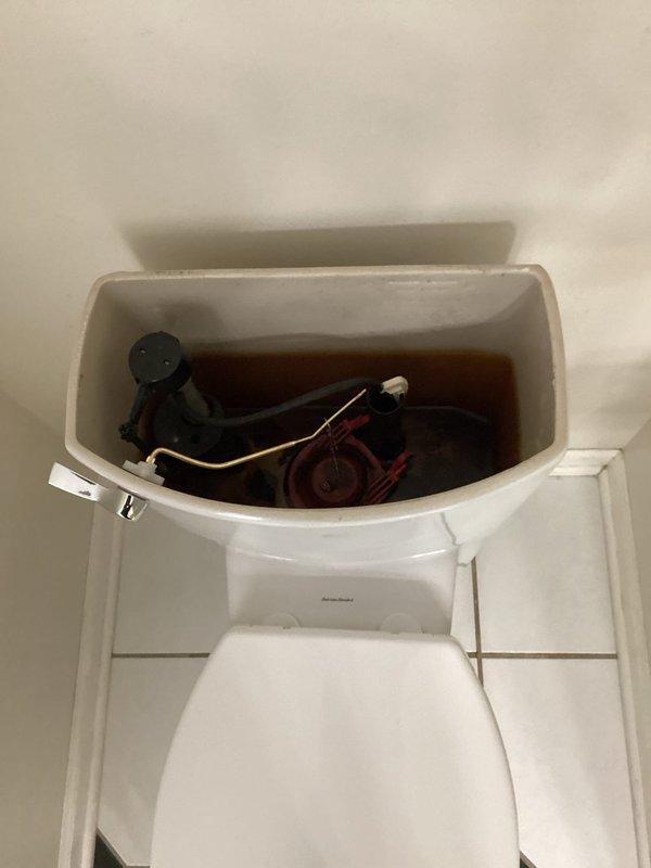 Responded to service call for ceiling leak originating from main floor toilet. Diagnosed issue as failed wax seal combined with broken toilet flange causing water damage and green corrosion on copper piping. Removed toilet, installed new repair flange, wax seal, toilet bolts and fill valve, then reset toilet and verified proper operation with no further leakage.