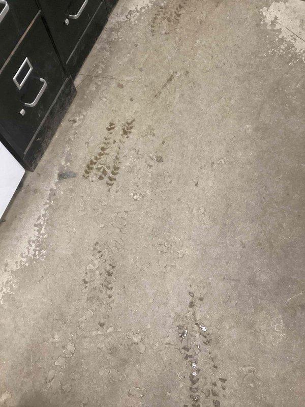 Responded to callback for furnace with error code EZ201 causing no heat. Diagnosed failed blower module. Provided customer with estimate for necessary repairs.