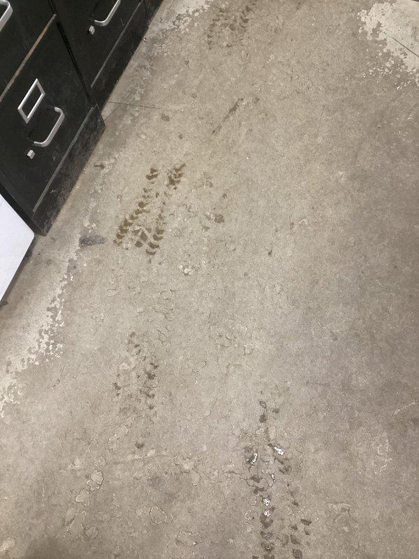 Responded to callback for furnace with error code EZ201 causing no heat. Diagnosed failed blower module. Provided customer with estimate for necessary repairs.