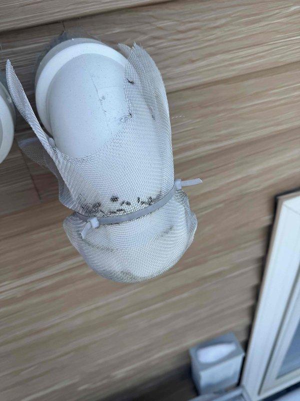 Responded to no heat complaint on Amana furnace. Diagnosed frozen exhaust and intake caused by unauthorized metal screens installed over terminations. Removed screens and cleared ice buildup, restoring proper combustion air and exhaust flow. Noted significant mold growth in condensate drain system requiring future attention.