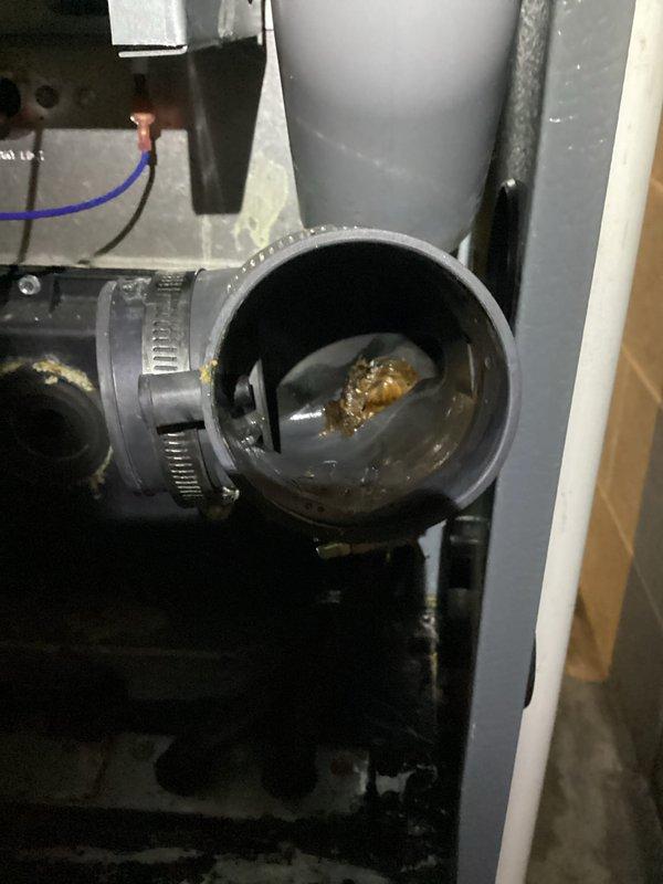 Completed scheduled maintenance on furnace system. Repaired damaged humidifier water line that showed signs of mineral buildup. Inspected exterior utility connections during winter conditions, ensuring proper operation of all components.
