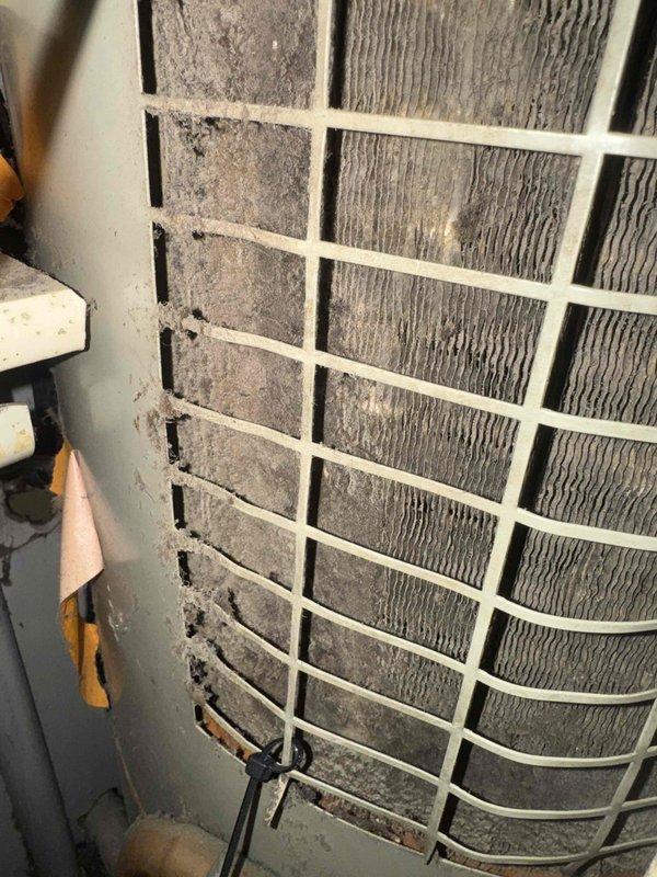 Responded to no heat call for a heat pump system with air handler/water heater combination. Diagnosed system blowing cold air due to severely clogged filter restricting proper airflow. Inspected aging unit which showed signs of wear on insulated piping and connections. Completed preventive maintenance and discussed replacement options with customer.