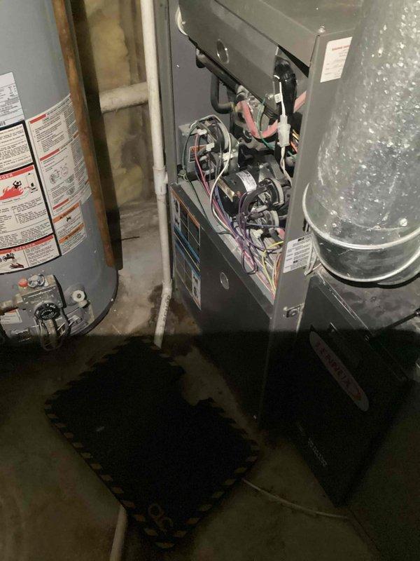 Completed scheduled preventative maintenance agreement service on residential HVAC system. Performed comprehensive inspection of furnace components including control board, wiring connections, and motor assembly. Serviced water heater and verified proper operation of all mechanical equipment in utility room.
