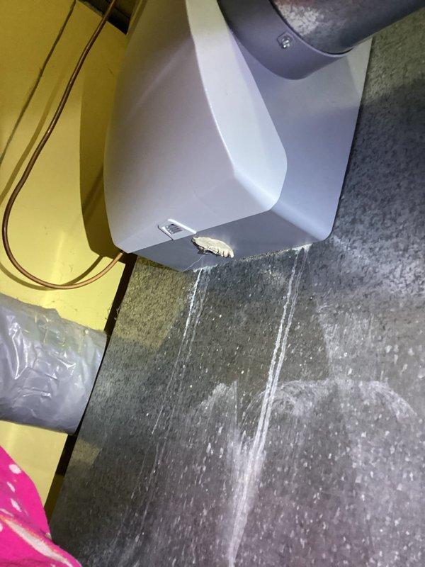 Responded to service call for intermittent water leakage from furnace. Diagnostic inspection revealed broken humidifier spud causing water to leak onto floor. Replaced defective humidifier components, installed new spud, and reconfigured water lines to resolve the issue.