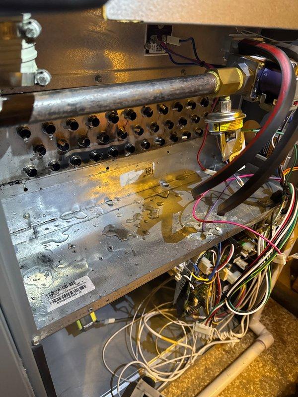 Replaced defective collector box under warranty on heat exchanger. Performed combustion analysis with UEi C161 analyzer to verify proper system operation after repair. Observed normal condensation patterns on metal base panel indicating unit is functioning correctly post-installation.