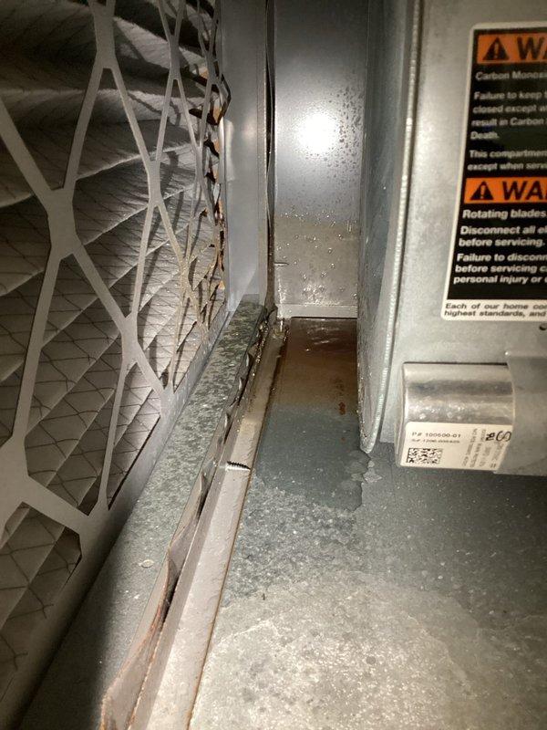 Responded to no heat call, diagnosed failed inducer motor and leaking collector box in aging furnace system. Visual inspection revealed significant corrosion and moisture damage in the heat exchanger area. Replaced inducer motor assembly and collector box, restoring proper system operation and eliminating grinding noise that was previously reported.