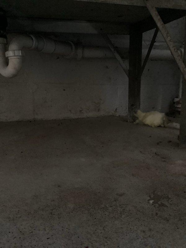 Responded to slow-draining laundry tub in basement utility area. Upon inspection, identified aged concrete double-basin sink with internal deterioration causing drainage issues. Washing machine discharge flows into slop sink which is not draining properly due to compromised condition of cement fixture. Recommended removal of existing laundry tub and installation of single standpipe for washing machine connection as permanent solution. Provided estimate for drain clearing attempt, noting that underlying issue stems from deteriorated sink structure rather than main drain line blockage.