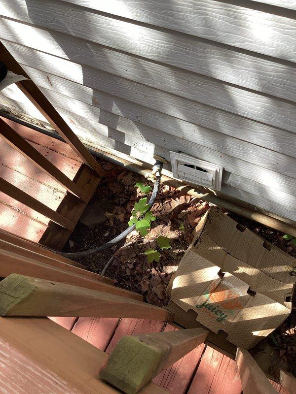 Responded to service call for two leaking outdoor hose bibbs requiring replacement at front and back of property. Upon inspection, determined both spigots were located in extremely tight, inaccessible areas beneath deck structure with limited clearance. Provided estimate for complete replacement of both hose bibbs, noting that adequate access points would need to be created through existing structure before replacement work could proceed. Documented existing conditions including accumulated debris in work area and current plumbing configuration at water heater location to assess supply line routing for outdoor fixtures.