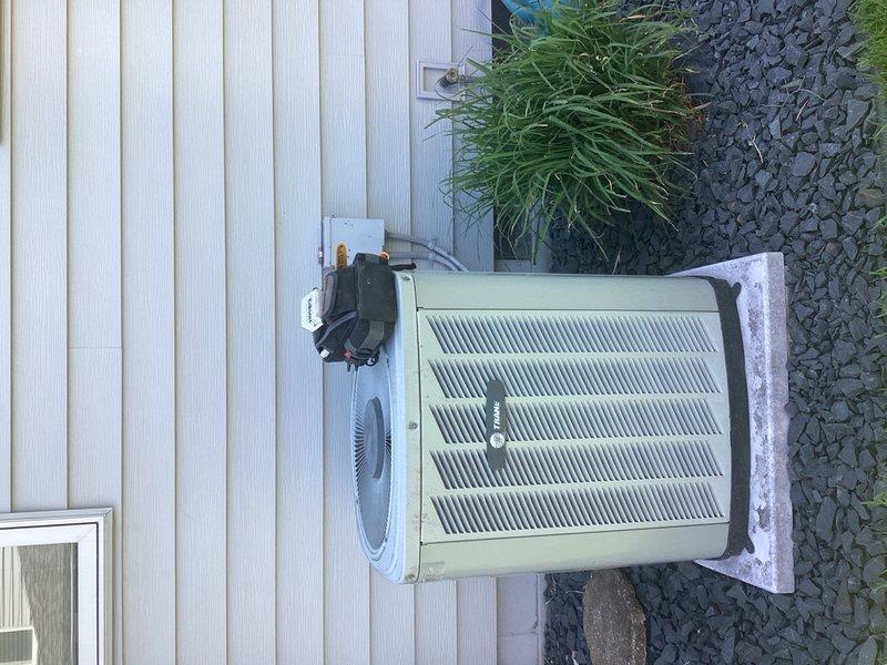 Responded to no-cool call on aging residential AC system. Found blown fuses in outdoor disconnect box, preventing power to condenser unit. Replaced fuses and restored system operation.
