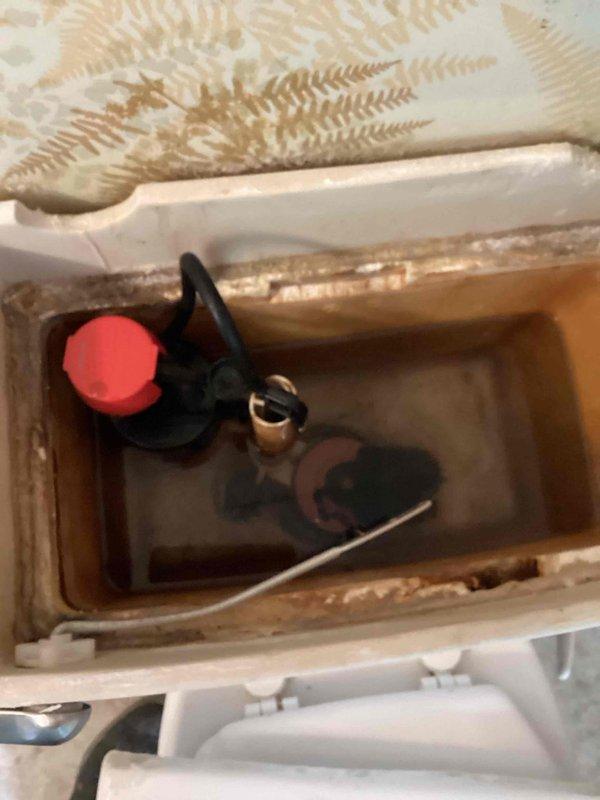 Responded to a toilet tank filling issue with gurgling and puffing sounds during the flush cycle. Upon inspection, identified a defective fill valve and a restricted toilet supply line preventing proper tank refilling. Removed and replaced both the faulty fill valve assembly and toilet supply line with new components. Tested the toilet through multiple flush cycles to verify proper operation, with tank now filling quietly and completely without restriction.