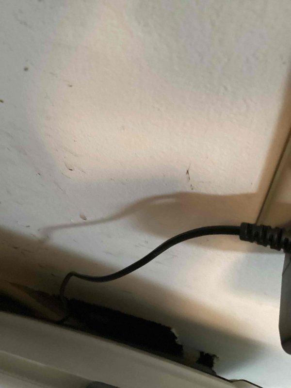 Responded to report of main line leak with paint bubbling on basement bathroom wall. Conducted thorough investigation by running all fixtures above the affected area and monitoring the water meter for movement. No plumbing leaks were detected or duplicated during testing. Despite visible moisture damage to the wall, determined that the plumbing system was not the source of the issue. Based on inspection findings, concluded the moisture problem is likely related to the HVAC system rather than the plumbing infrastructure.