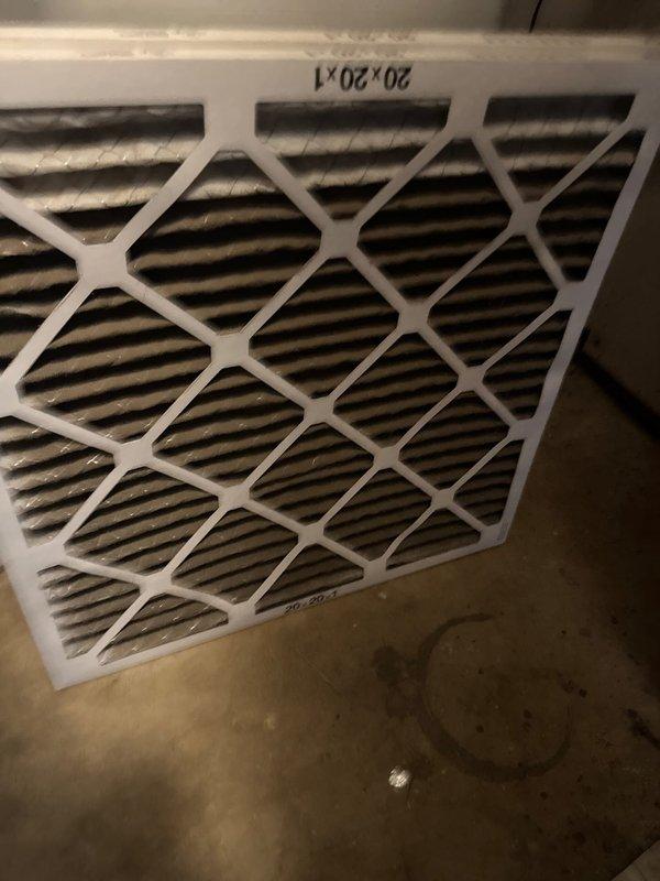 Responded to no cooling call on residential air conditioning system. Upon arrival, discovered low voltage wiring at outdoor condenser unit had been damaged by animal activity, causing the low pressure safety cutoff to malfunction and preventing system operation. Repaired damaged wires by splicing and securing connections, then tested system operation to verify proper cooling function was restored.