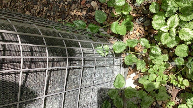 Responded to service call for air conditioning system running excessively with abnormal noise levels and ice formation on exterior refrigerant lines. Upon arrival, diagnosed system as low on R-22 refrigerant, resulting in no cooling capacity and causing freezing conditions in furnace room area. Documented outdoor condenser unit condition with protective cage in place and inspected surrounding components for proper operation.