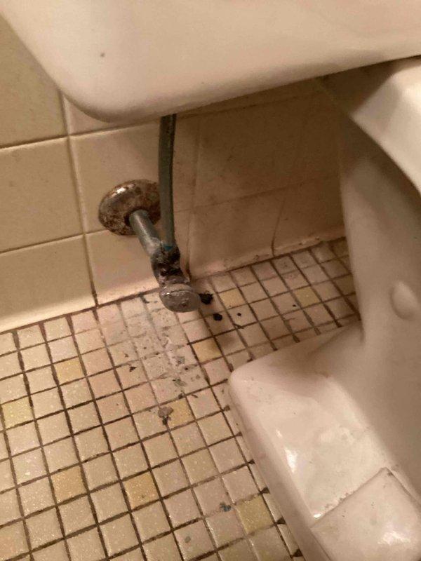 Responded to a main floor toilet leak caused by a heavily corroded and failing angle stop valve. Shut off the water supply to the home, then removed the deteriorated valve and old toilet supply line. Installed a new angle stop valve and supply line, restored water service to the residence, and verified proper operation with no leaks detected.